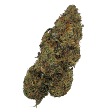 Buy Cannabis and Magic Mushrooms in Canada