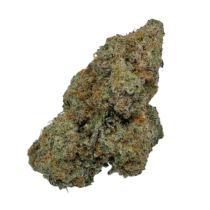 Buy Cannabis and Magic Mushrooms in Canada