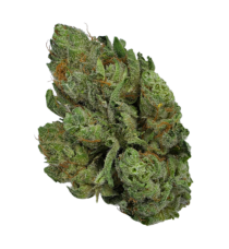 Buy Cannabis and Magic Mushrooms in Canada