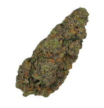 Buy Cannabis and Magic Mushrooms in Canada