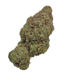 Buy Cannabis and Magic Mushrooms in Canada