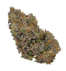 Buy Cannabis and Magic Mushrooms in Canada