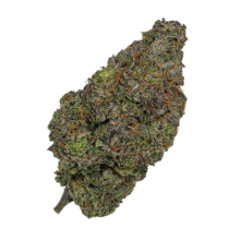 Buy Cannabis and Magic Mushrooms in Canada