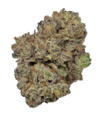 Buy Cannabis and Magic Mushrooms in Canada