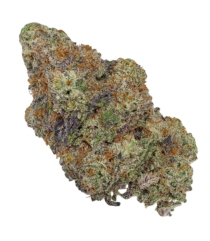 Buy Cannabis and Magic Mushrooms in Canada