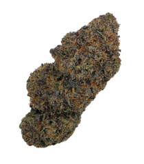 Buy Cannabis and Magic Mushrooms in Canada