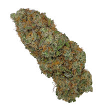 Buy Cannabis and Magic Mushrooms in Canada