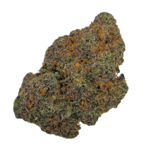 Buy Cannabis and Magic Mushrooms in Canada