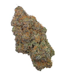 Buy Cannabis and Magic Mushrooms in Canada