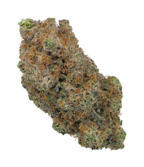 Buy Cannabis and Magic Mushrooms in Canada