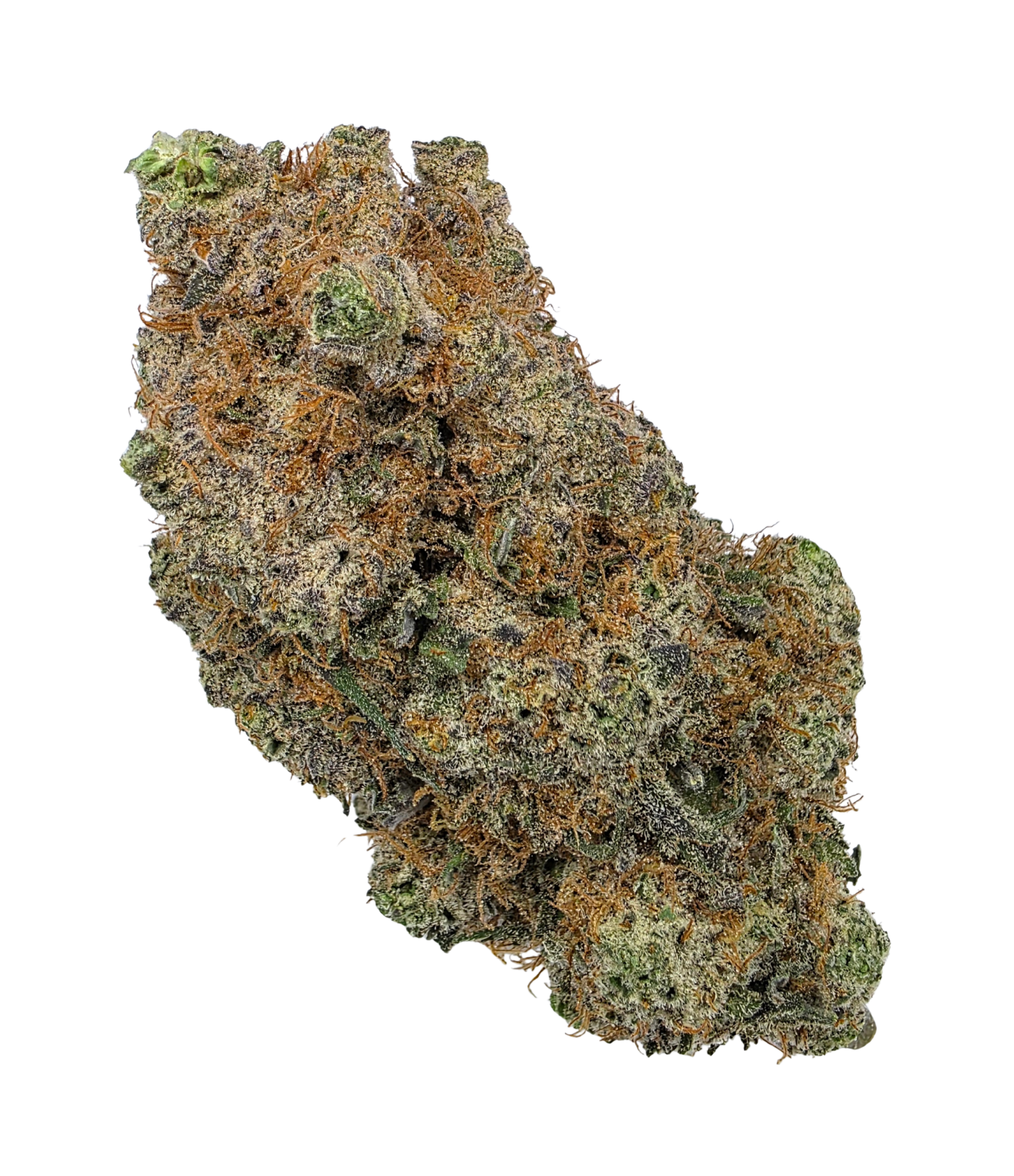 Zoo Dawg Buy Cannabis and Magic Mushrooms in Canada