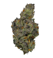 Buy Cannabis and Magic Mushrooms in Canada