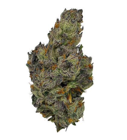 Buy Cannabis and Magic Mushrooms in Canada