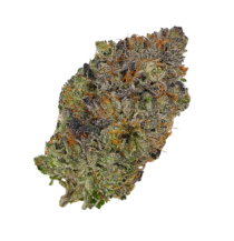 Buy Cannabis and Magic Mushrooms in Canada