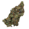 Buy Cannabis and Magic Mushrooms in Canada