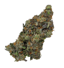 Buy Cannabis and Magic Mushrooms in Canada