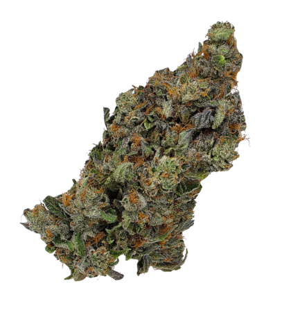 Buy Cannabis and Magic Mushrooms in Canada