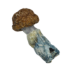 Buy Cannabis and Magic Mushrooms in Canada