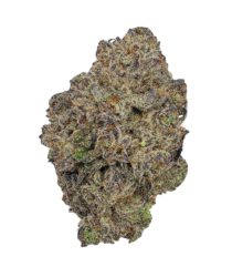 Buy Cannabis and Magic Mushrooms in Canada