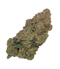 Buy Cannabis and Magic Mushrooms in Canada