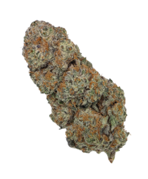 Buy Cannabis and Magic Mushrooms in Canada