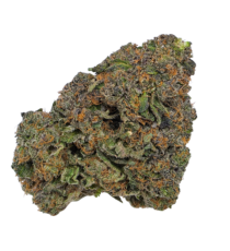 Buy Cannabis and Magic Mushrooms in Canada