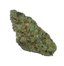Buy Cannabis and Magic Mushrooms in Canada