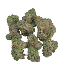 Buy Cannabis and Magic Mushrooms in Canada
