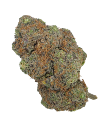 Buy Cannabis and Magic Mushrooms in Canada