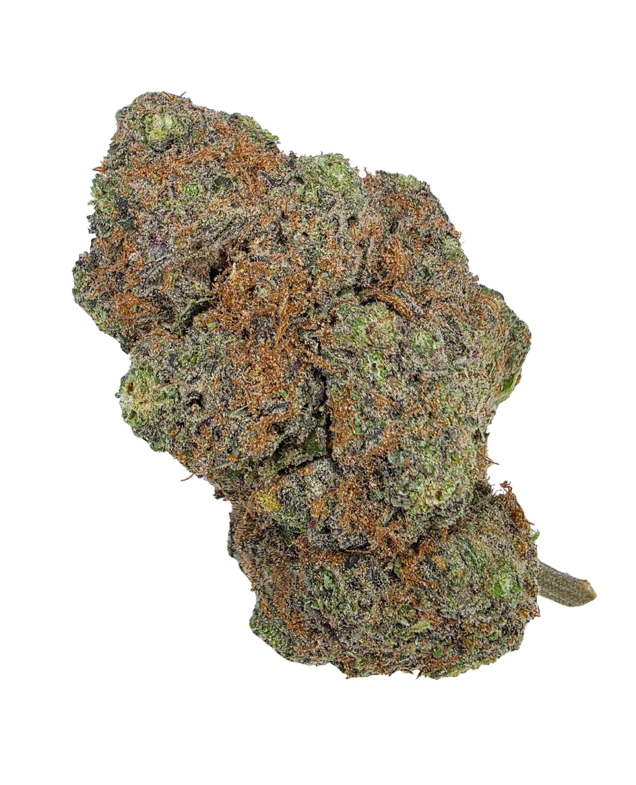 Northern Cookies Buy Cannabis and Magic Mushrooms in Canada