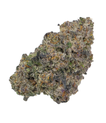 Buy Cannabis and Magic Mushrooms in Canada