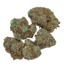 Buy Cannabis and Magic Mushrooms in Canada