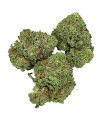 Buy Cannabis and Magic Mushrooms in Canada