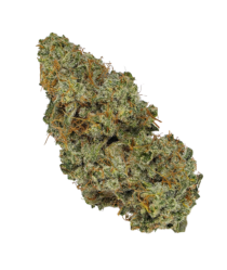 Buy Cannabis and Magic Mushrooms in Canada