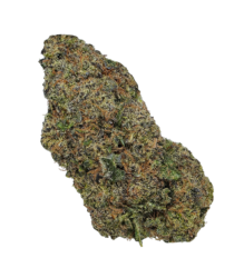 Buy Cannabis and Magic Mushrooms in Canada