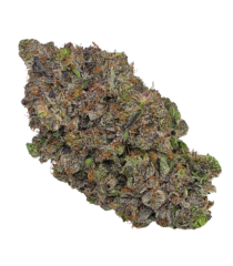 Buy Cannabis and Magic Mushrooms in Canada