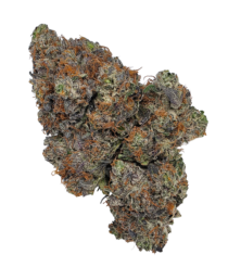 Buy Cannabis and Magic Mushrooms in Canada