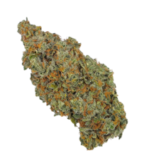 Buy Cannabis and Magic Mushrooms in Canada