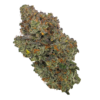 Buy Cannabis and Magic Mushrooms in Canada