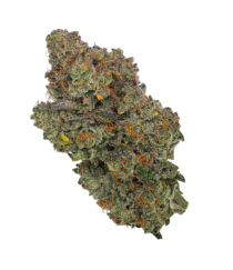 Buy Cannabis and Magic Mushrooms in Canada