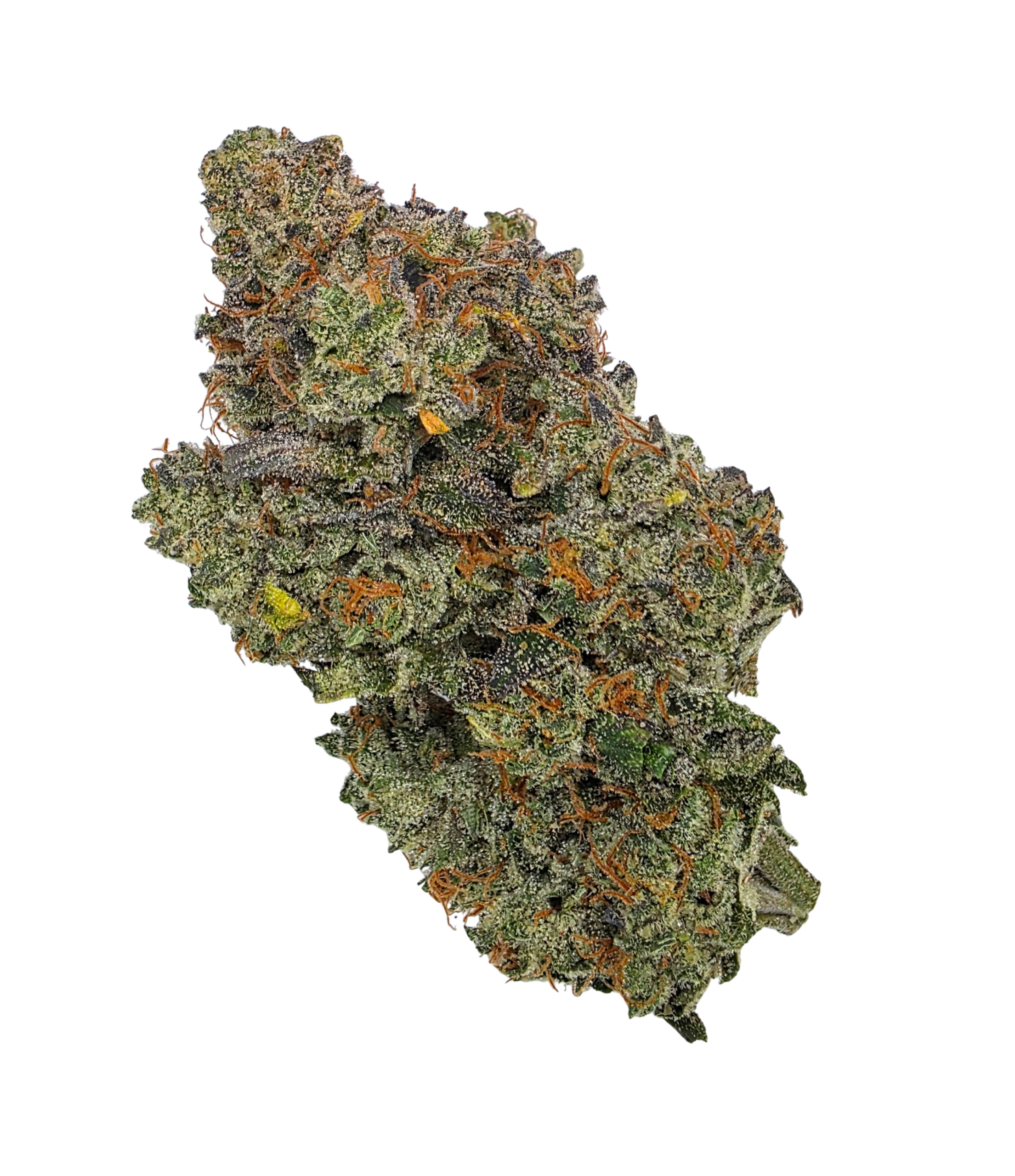 LSO Red Runtz Buy Cannabis and Magic Mushrooms in Canada